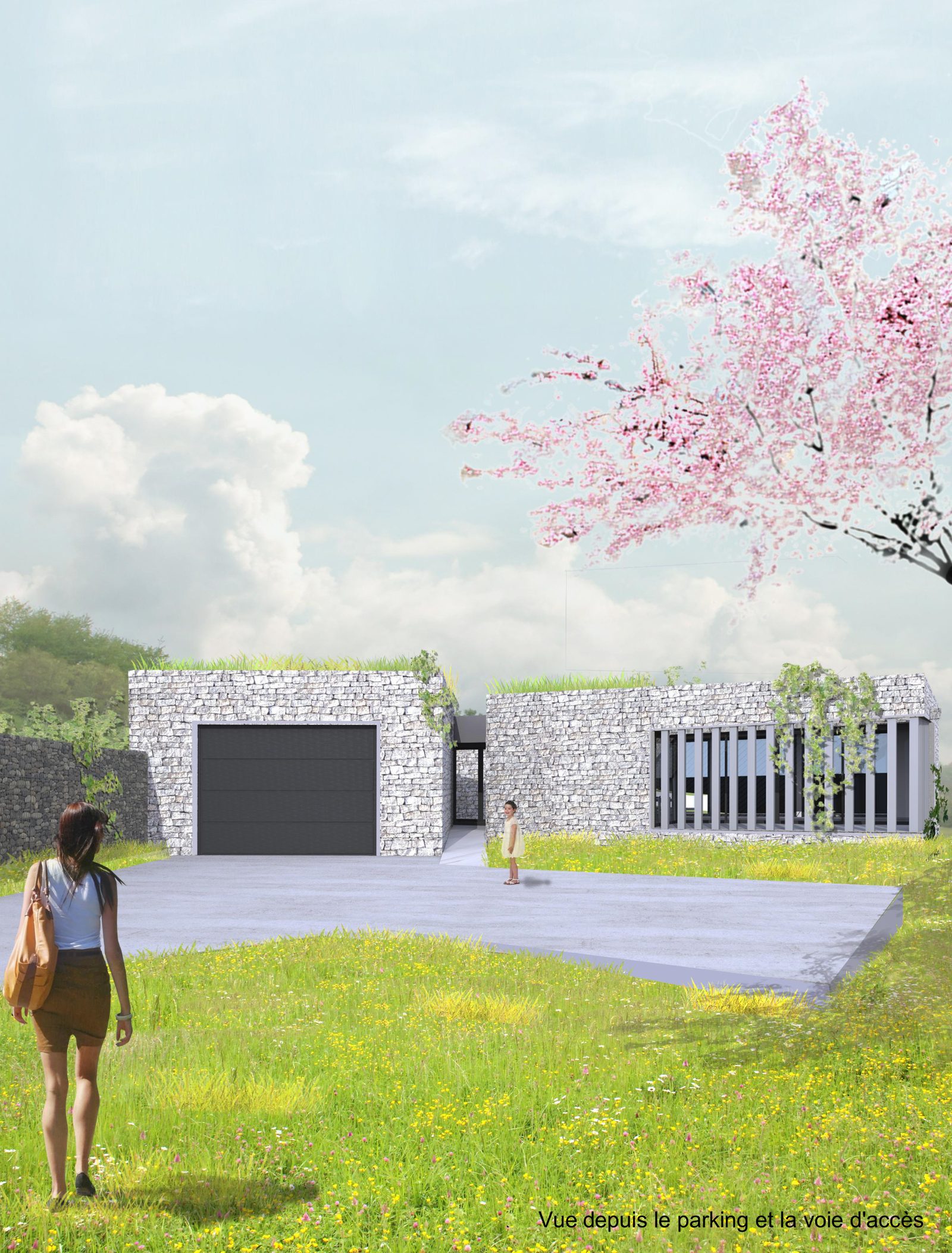 Maison dans la colline — Image de conception — l’entrée et le parking
