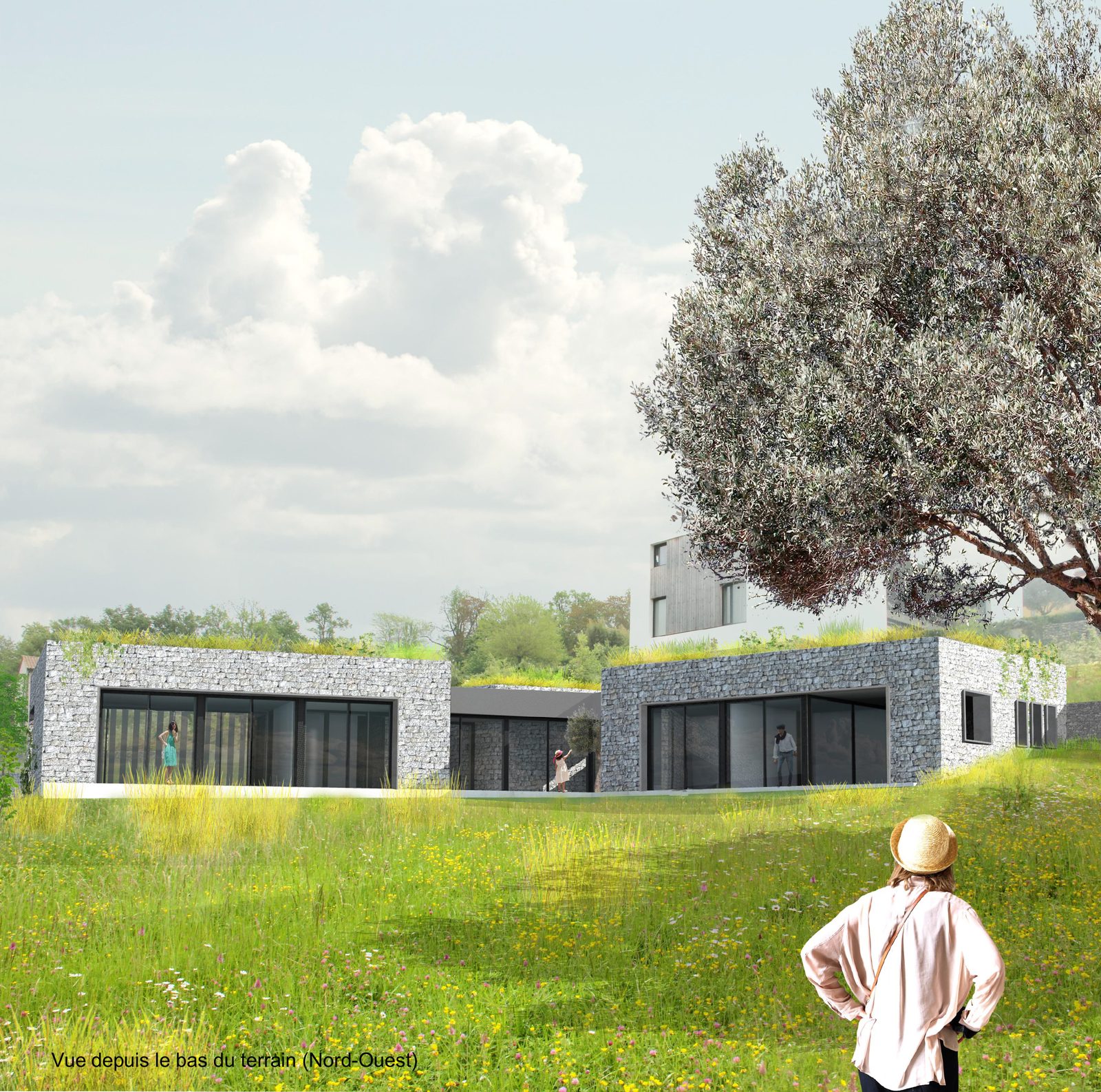 Maison dans la colline — Image de conception — depuis le bas du terrain