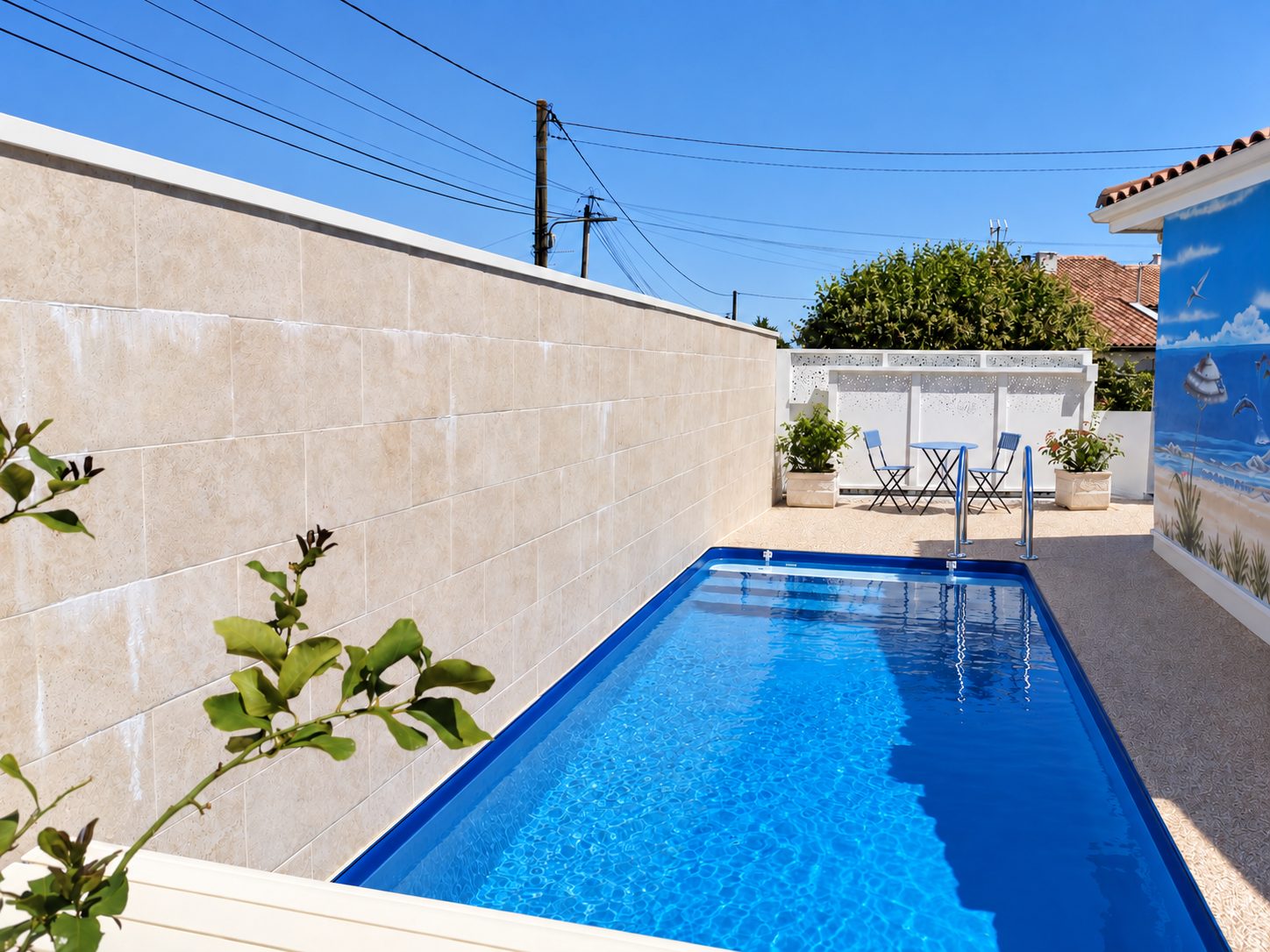 Maison G. — Aménagements extérieurs & piscine — La fresque marine et le bassin